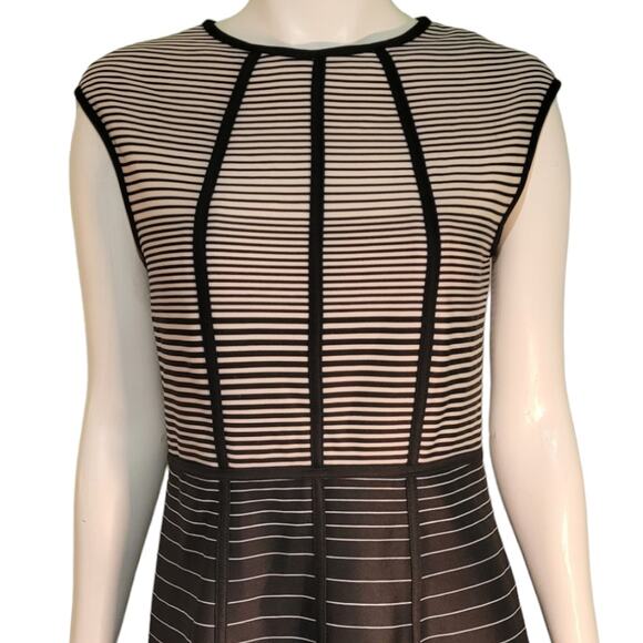 Sandra Darren Graphic Stripe Fit & Flare Dress 10 Sleeveless Balletcore Swiftie - Picture 3 of 9